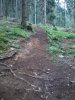 2012-07-14 11.23.59.jpg