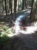 2012-07-17 14.34.42.jpg