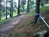 2012-07-21 09.58.04.jpg