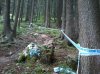 2012-07-21 10.23.16.jpg