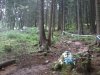 2012-07-21 10.23.20.jpg