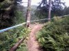 2012-07-21 11.50.23.jpg