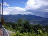 IMG_20120722_142404r.jpg