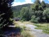 IMG_20120722_142604r.jpg