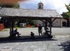 IMG_20120722_143714r.jpg