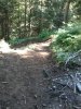 2012-07-25 11.17.29.jpg