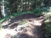 2012-07-25 11.17.39.jpg