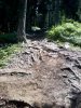 2012-07-25 13.03.30.jpg