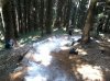 2012-08-01 12.35.05.jpg