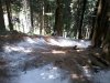 2012-08-01 12.34.53.jpg