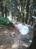 2012-08-01 12.34.31.jpg