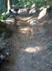 2012-08-08 08.58.02.jpg