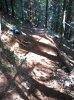 2012-08-08 09.44.25.jpg