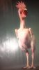 2012-08-11-084.jpg