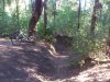 DSC_1232.jpg