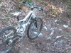 DSC_1229.jpg