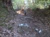 DSC_1225.jpg