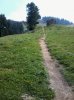 2012-09-11 13.37.31.jpg
