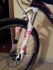 Forcella bici a.jpg
