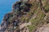 Mtb -Sea 1.jpg