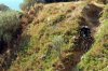 Mtb -Sea 4.jpg