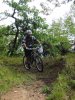 DSC03988 GG.jpg