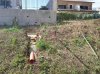 IMG_20120611_091722.jpg