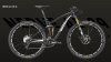 Canyon Nerve AL 9.9. SL.jpg