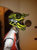 IMG-20121016-WA0000.jpg