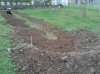 2012-11-03 15.48.13.jpg