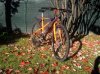 Bikes-12N12 004r.jpg
