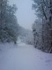 DSC00621.jpg