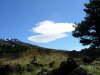 DSCN1194.JPG