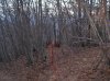 IMG_3102 a.jpg