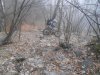 DSCN0424.jpg