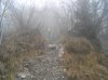 DSCN0427.jpg