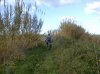 DSC00270.jpg