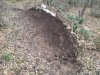 2013-02-02 11.27.14.jpg