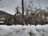 uploadfromtaptalk1361987265188.jpg