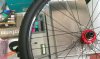 IMAG0269.jpg