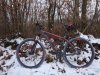 DSC09512.jpg
