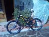 IMG_20130315_134508.jpg