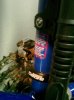 Foto0196.jpg