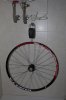 bici_1102--7.jpg