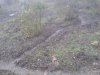 2013-03-30 10.25.29.jpg