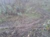 2013-03-30 10.25.45.jpg