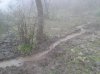2013-03-30 10.29.59.jpg