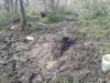 2013-04-06 09.49.24.jpg