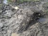 2013-04-06 09.49.31.jpg