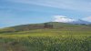 DSCN3907.jpg